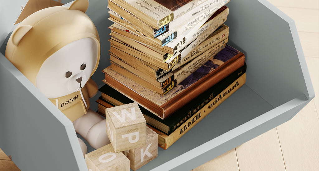 Toy Storage Organizer for Kids