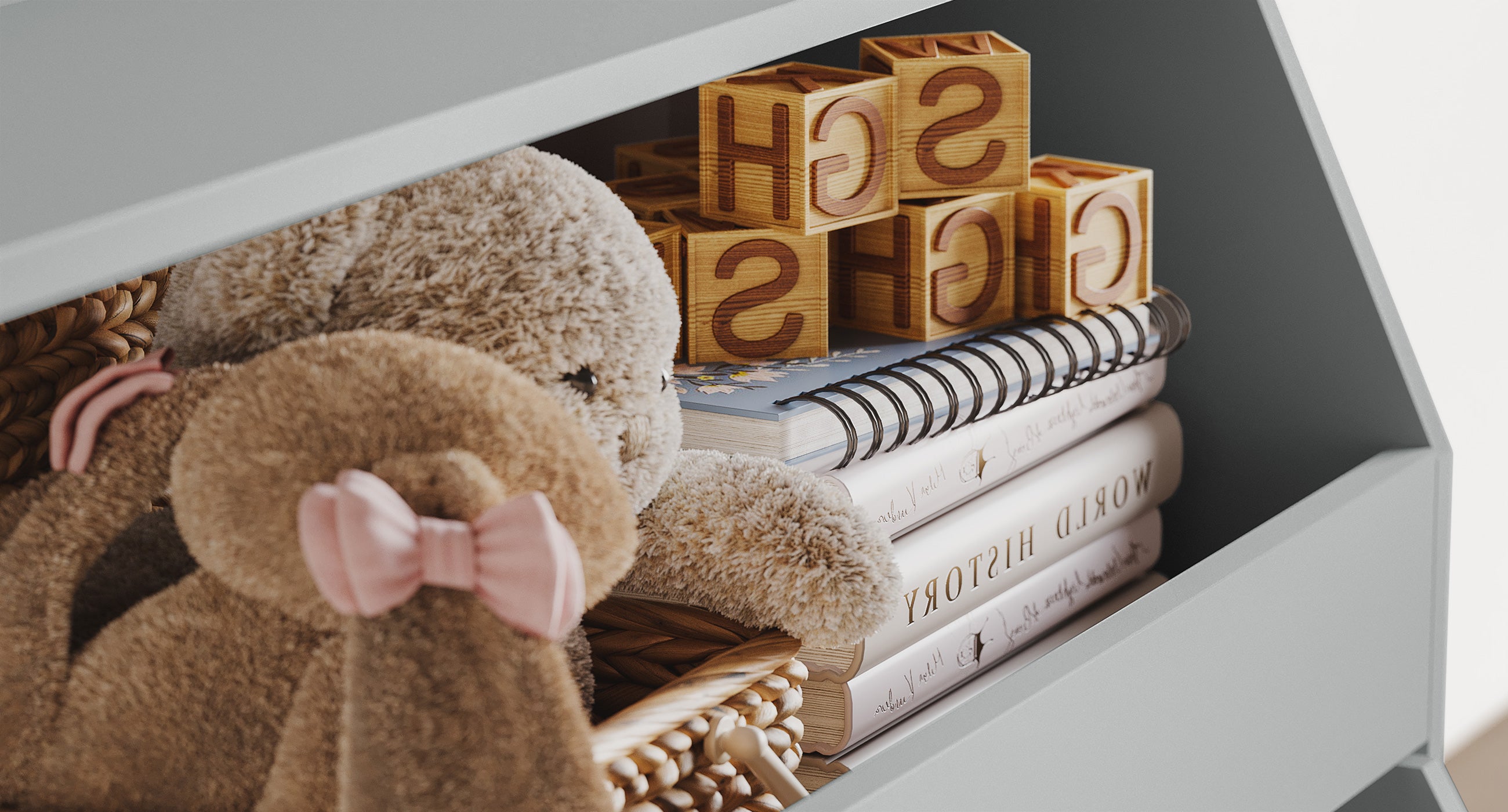 Toy Storage Organizer for Kids